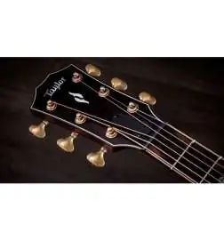 Taylor Builder s Edition 814ce Shaded Edgeburst Next Generation
