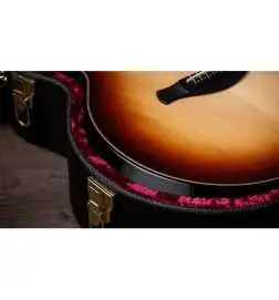 Taylor Builder s Edition 814ce Shaded Edgeburst Next Generation