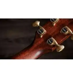 Taylor Builder s Edition 814ce Shaded Edgeburst Next Generation