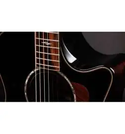 Taylor Builder s Edition 814ce Black Top Next Generation