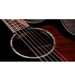 Taylor Builder s Edition 814ce Black Top Next Generation