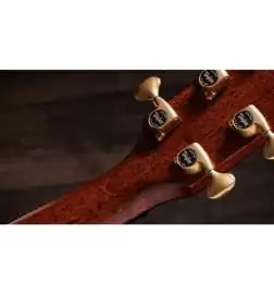 Taylor Builder s Edition 814ce Black Top Next Generation