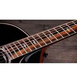 Taylor Builder s Edition 814ce Black Top Next Generation