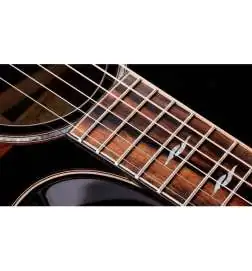 Taylor Builder s Edition 814ce Black Top Next Generation