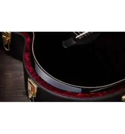 Taylor Builder s Edition 814ce Black Top Next Generation