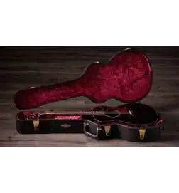 Taylor Builder s Edition 814ce Black Top Next Generation