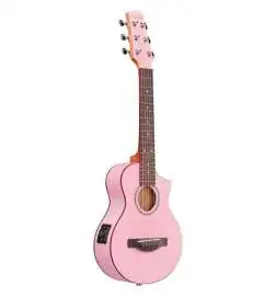 Ibanez EWP17M2E-SMO