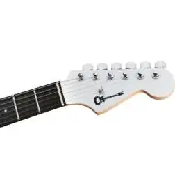 Charvel Pro-Mod Plus DK24 HH 2PT E Celestial Silk