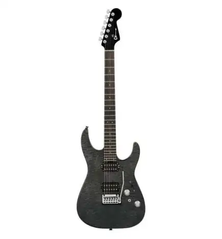 Charvel Pro-Mod Plus DK24 HH 2PT E QM Midnight Ocean