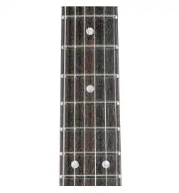 Paoletti Guitars Nancy Lounge Butterscotch Blonde