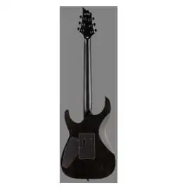 ESP LTD H-1001FR Black Natural Burst