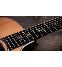 Taylor 714ce Next Generation