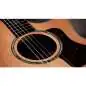 Taylor 714ce Next Generation