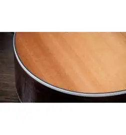 Taylor 714ce Next Generation