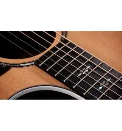Taylor 714ce Next Generation