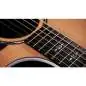 Taylor 714ce Next Generation