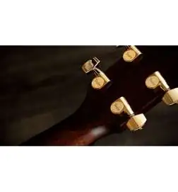 Taylor 714ce Next Generation