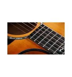 Taylor 614ce Next Generation