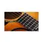 Taylor 614ce Next Generation