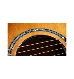 Taylor 614ce Next Generation