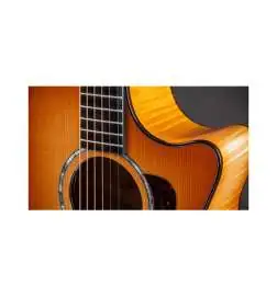 Taylor 614ce Next Generation