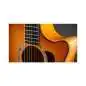 Taylor 614ce Next Generation