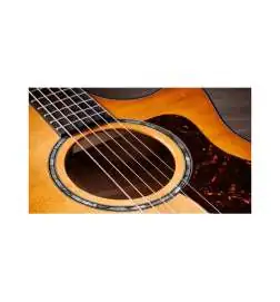 Taylor 614ce Next Generation