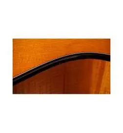 Taylor 614ce Next Generation