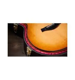 Taylor 614ce Next Generation