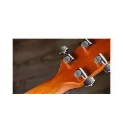 Taylor 614ce Next Generation
