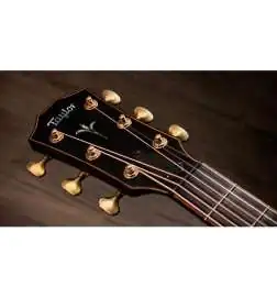 Taylor Builder s Edition K24ce Next Generation