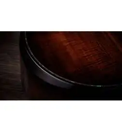 Taylor Builder s Edition K24ce Next Generation