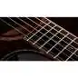 Taylor Builder's Edition K24ce Next Generation