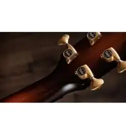 Taylor Builder s Edition K24ce Next Generation