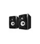 DJ Speaker Monitors