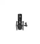 Micrófonos de modelado