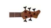 5 String Electric Bass